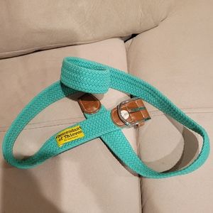 Descendant of thieves belt